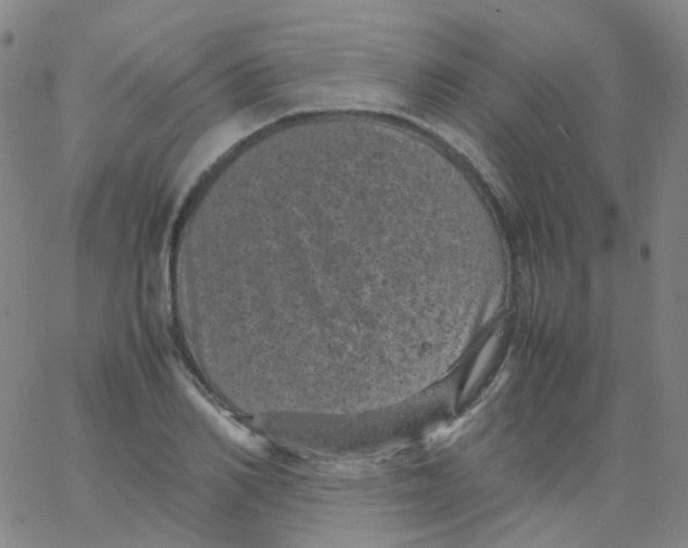 X0000061760982200512231546