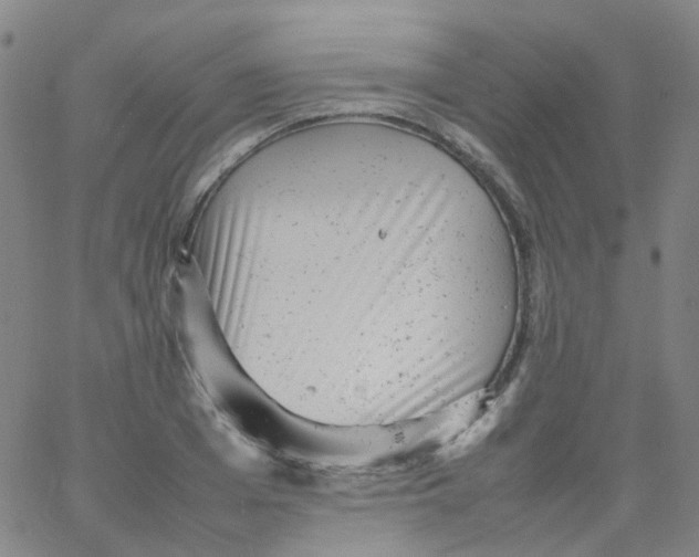 X0000061760985200512231546