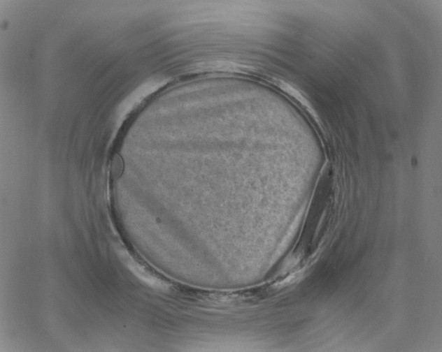 X0000061760987200512231546