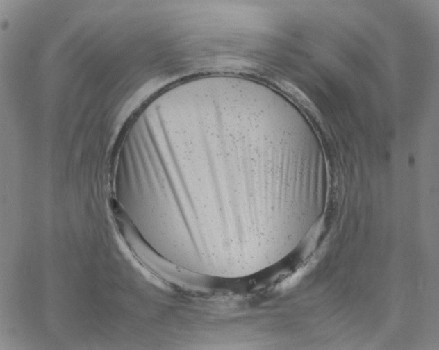 X0000061760989200512231546