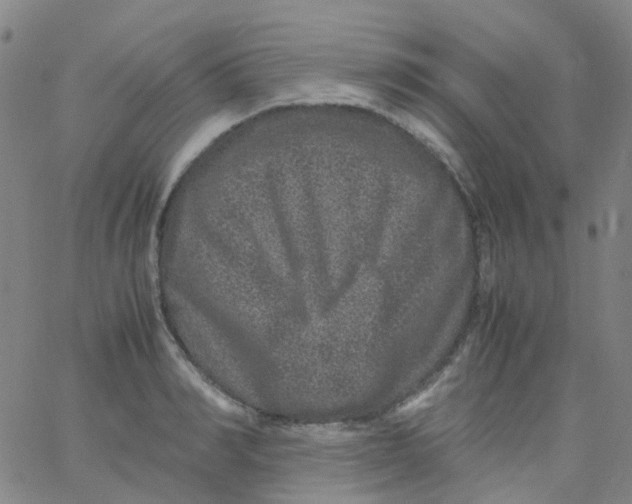 X0000061760990200512231546