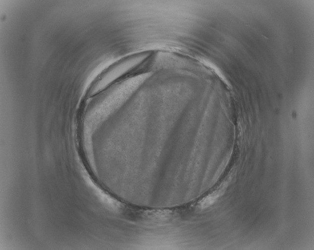 X0000061760991200512231546