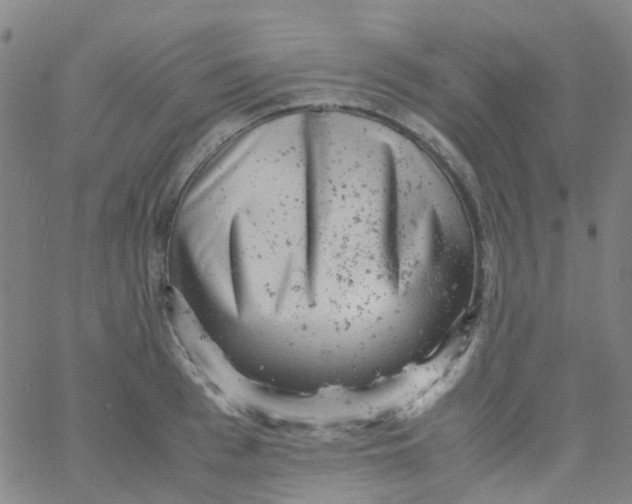 X0000061760993200512231546