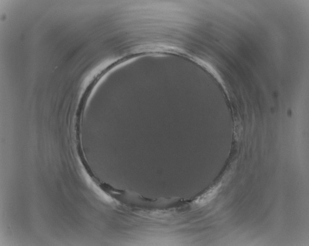 X0000061760995200512231546