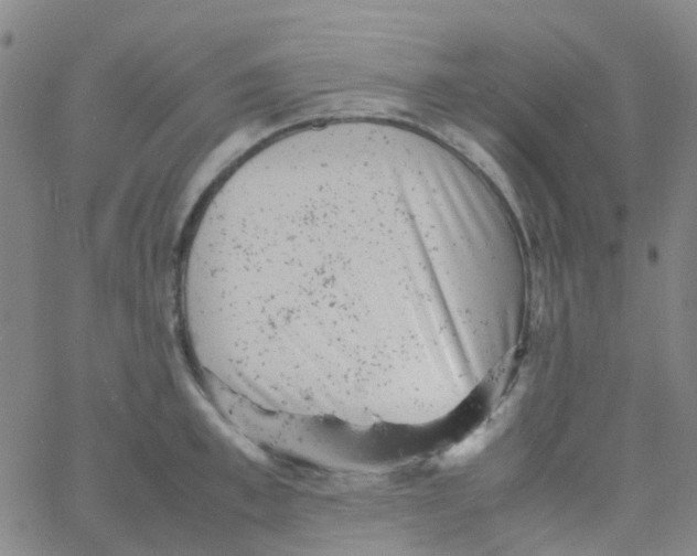 X0000061760997200512231546