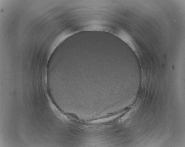 X0000061761000200512231546