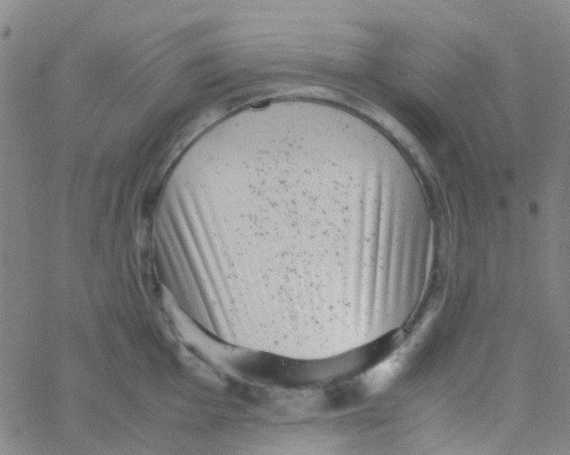 X0000061761001200512231546