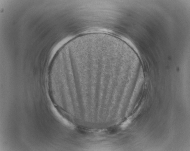 X0000061761003200512231546