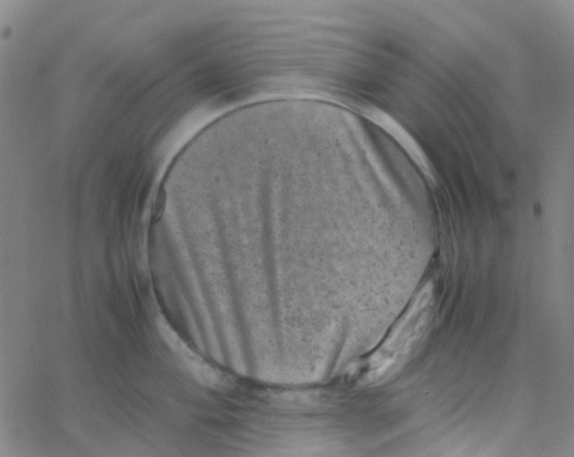 X0000061761004200512231546