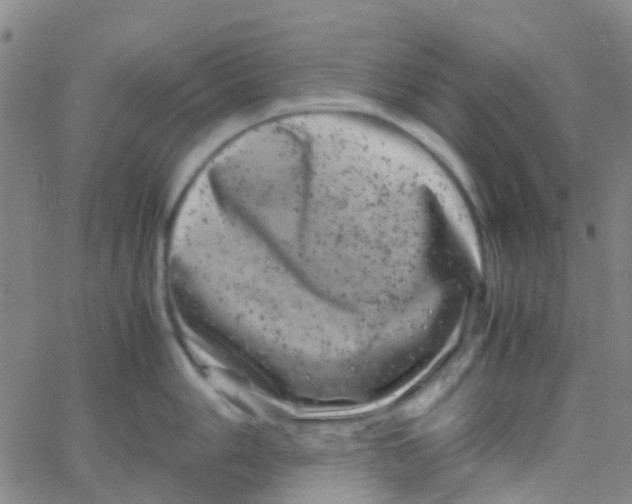 X0000061761006200512231546