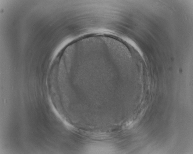 X0000061761007200512231546