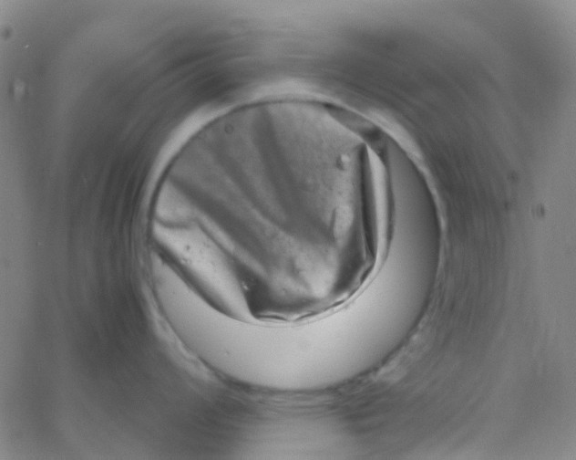 X0000061761008200512231546