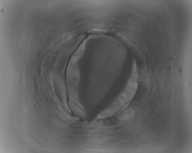 X0000061761009200512231545