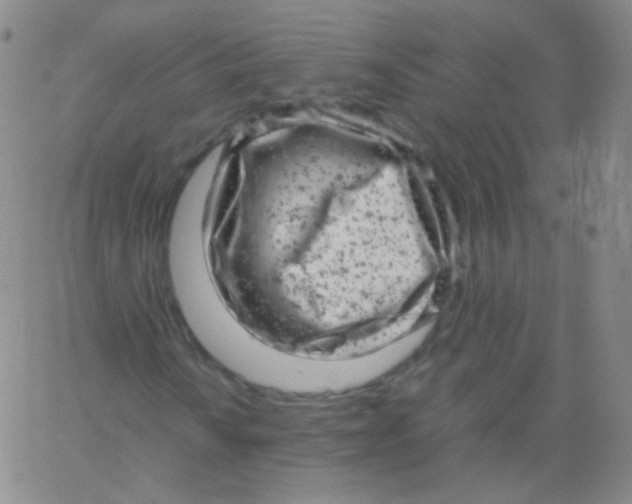 X0000061761010200512231545