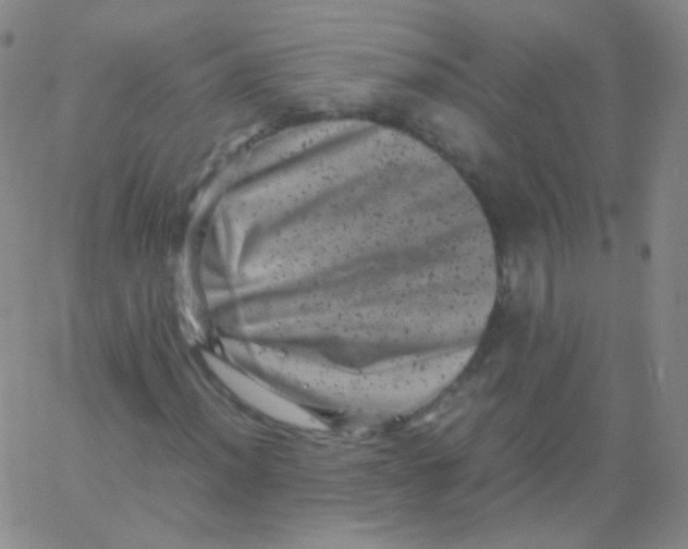 X0000061761012200512231545