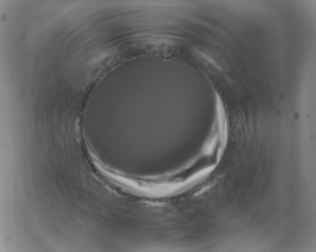 X0000061761013200512231545