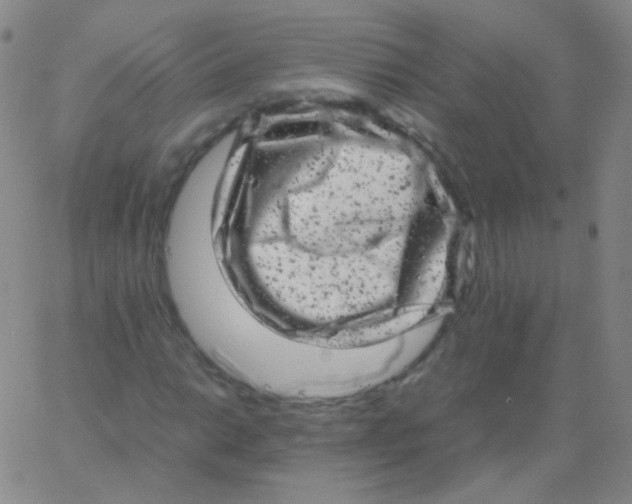 X0000061761014200512231545