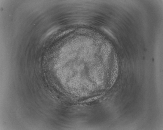 X0000061761015200512231545