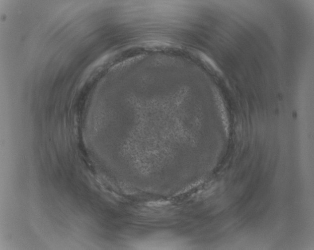 X0000061761016200512231545