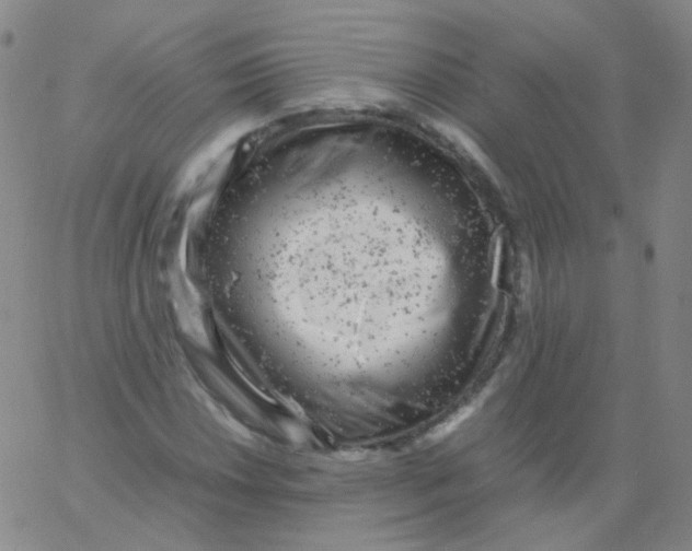 X0000061761018200512231545