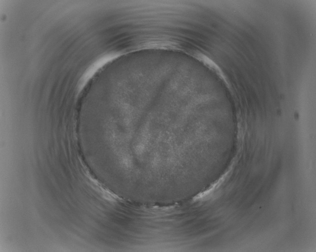 X0000061761019200512231545