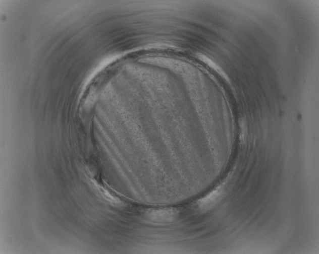 X0000061761021200512231545