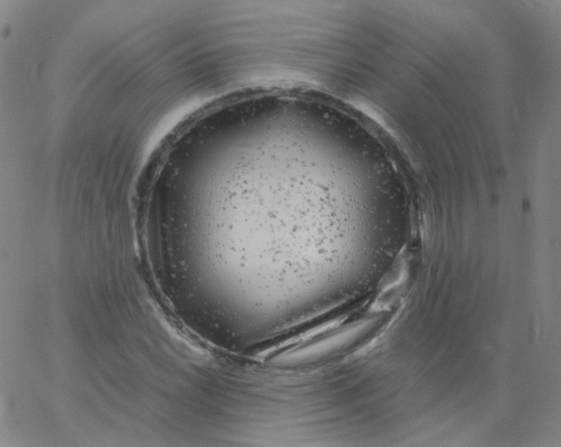 X0000061761022200512231545