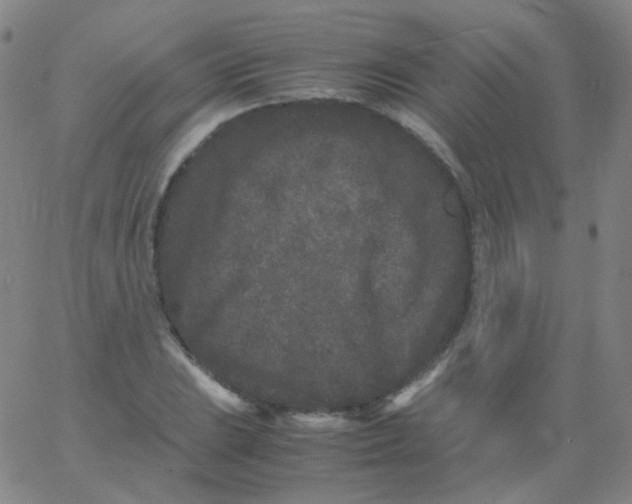 X0000061761023200512231545