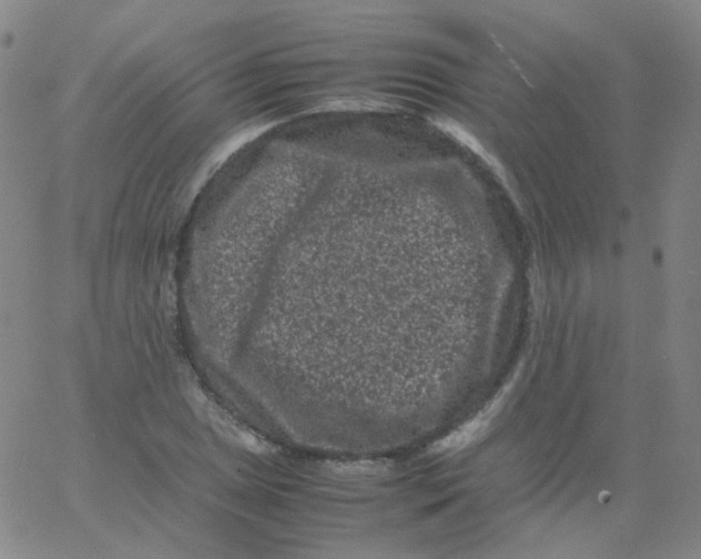 X0000061761025200512231545