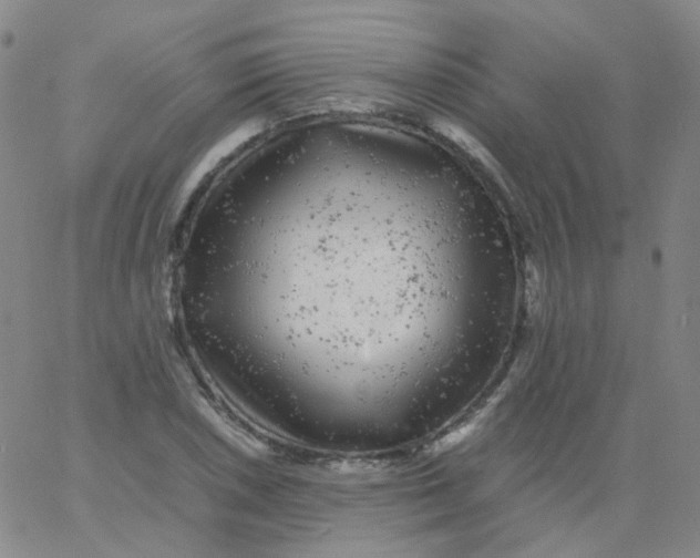 X0000061761026200512231545