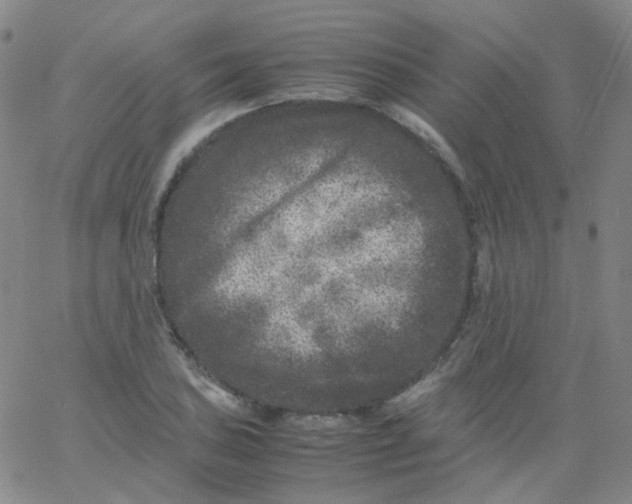 X0000061761027200512231545