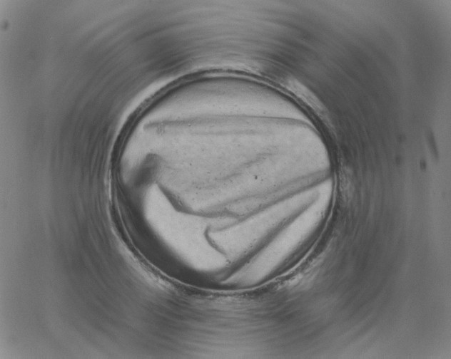 X0000061761028200512231545