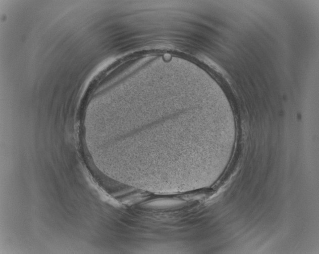 X0000061761029200512231545