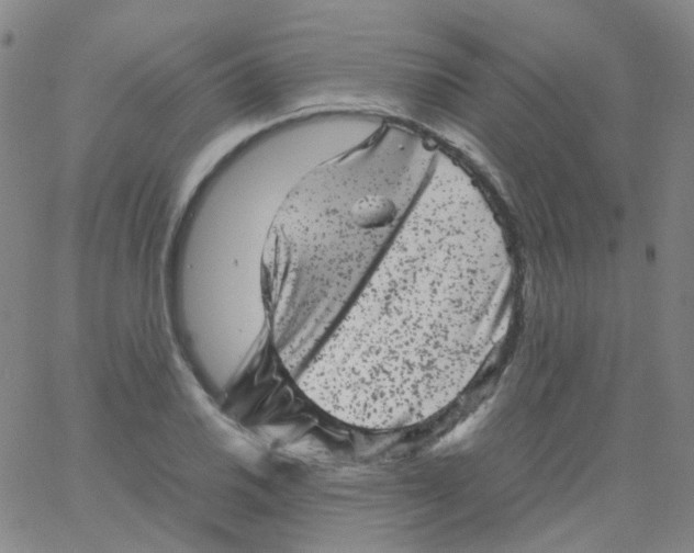 X0000061761030200512231545