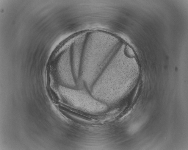 X0000061761032200512231545