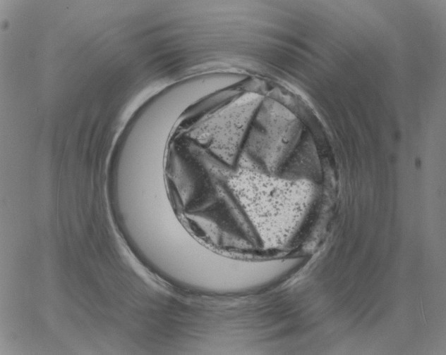 X0000061761034200512231546