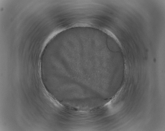 X0000061761035200512231546