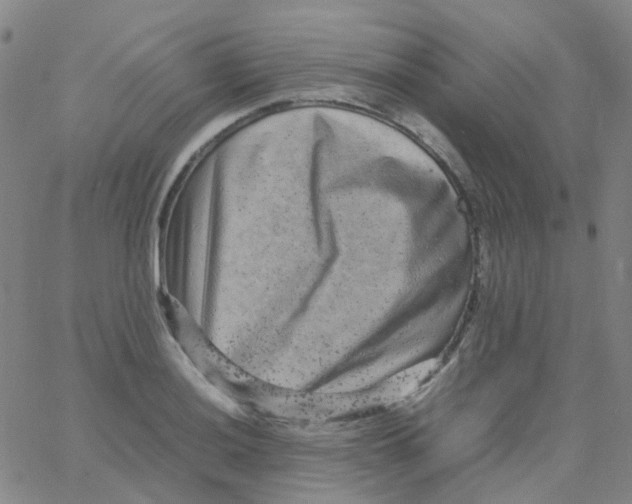 X0000061761036200512231546