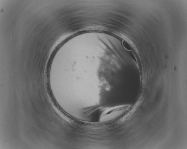 X0000061761037200512231546