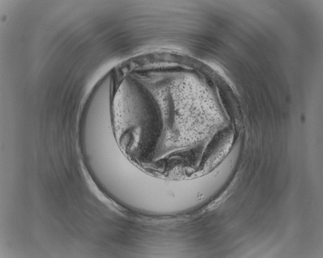 X0000061761038200512231546