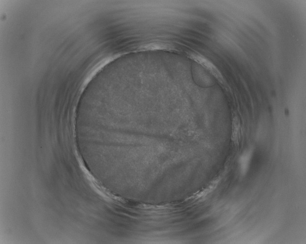 X0000061761039200512231546