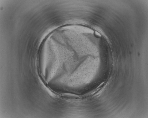 X0000061761040200512231546