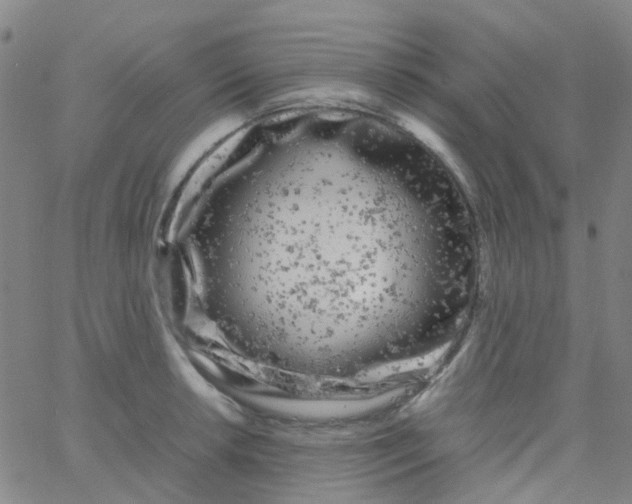 X0000061761042200512231546