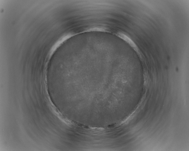 X0000061761043200512231546