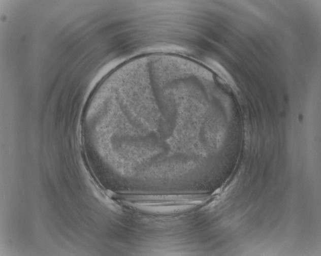 X0000061761044200512231546