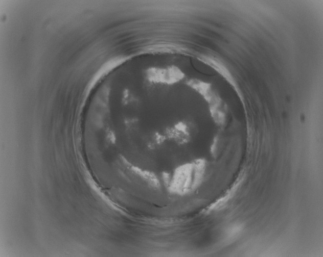 X0000061761045200512231546