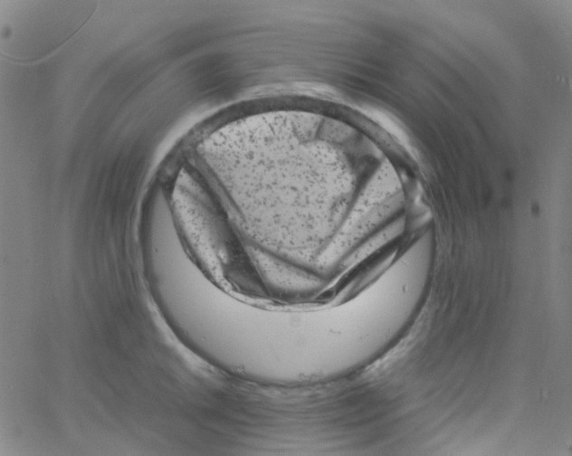 X0000061761046200512231546