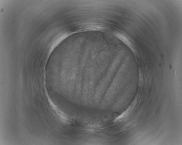 X0000061761047200512231546