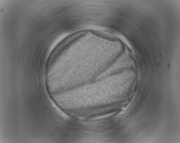 X0000061761048200512231546