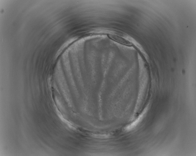 X0000061761049200512231546